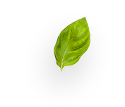 slider-layer5 slider-layer5