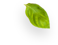 slider-layer6 slider-layer6