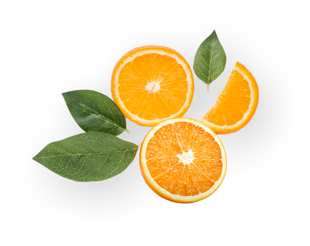 h1-slide2-layer2 h1-slide2-layer2